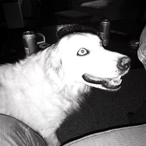 Meet your Posher, Kat